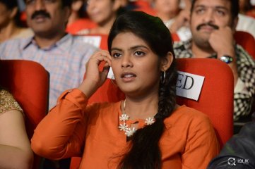 Temper Movie Audio Launch